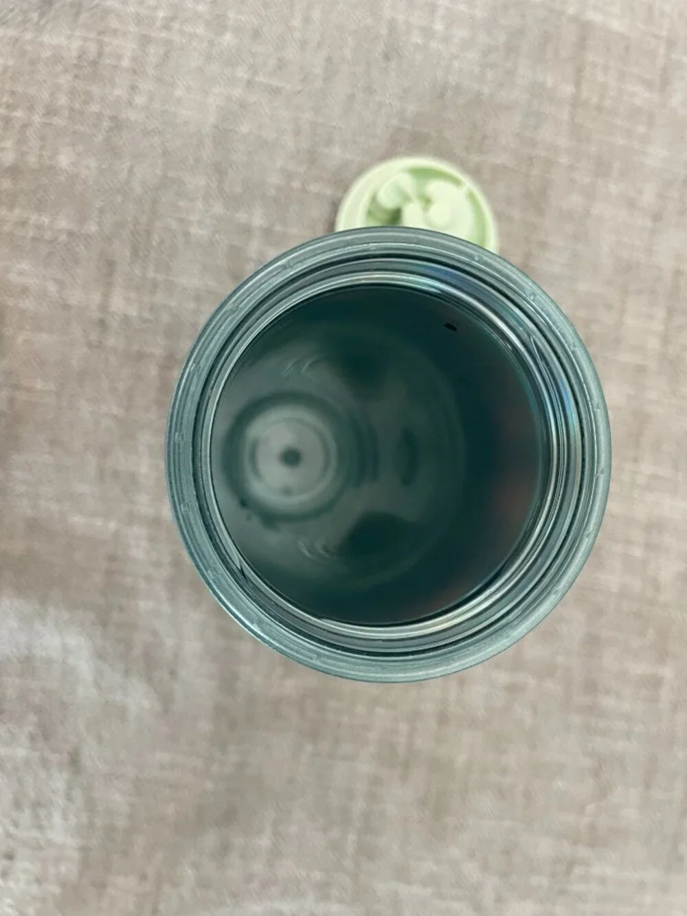 Starbucks Mint Green Leaf 2021 Winter Series Insulated 16oz Tumbler Cup!